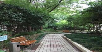 1595491538135089445.jpg